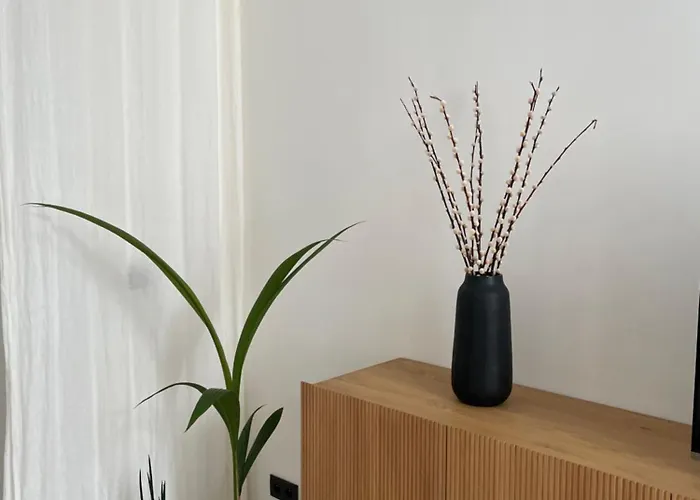 Conge Sfeervol Dichtbij Zee * Oostende