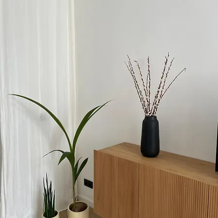 Conge Sfeervol Dichtbij Zee * Oostende